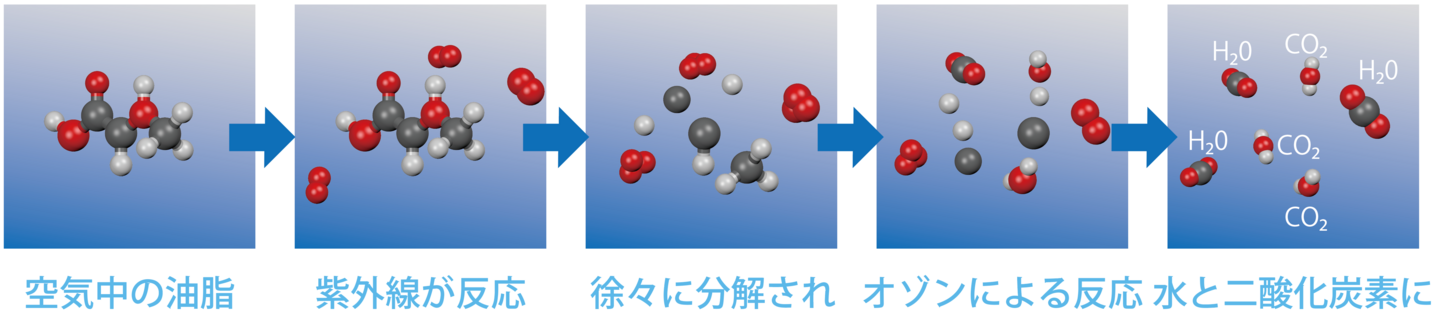 分子レベルでの効果プロセス